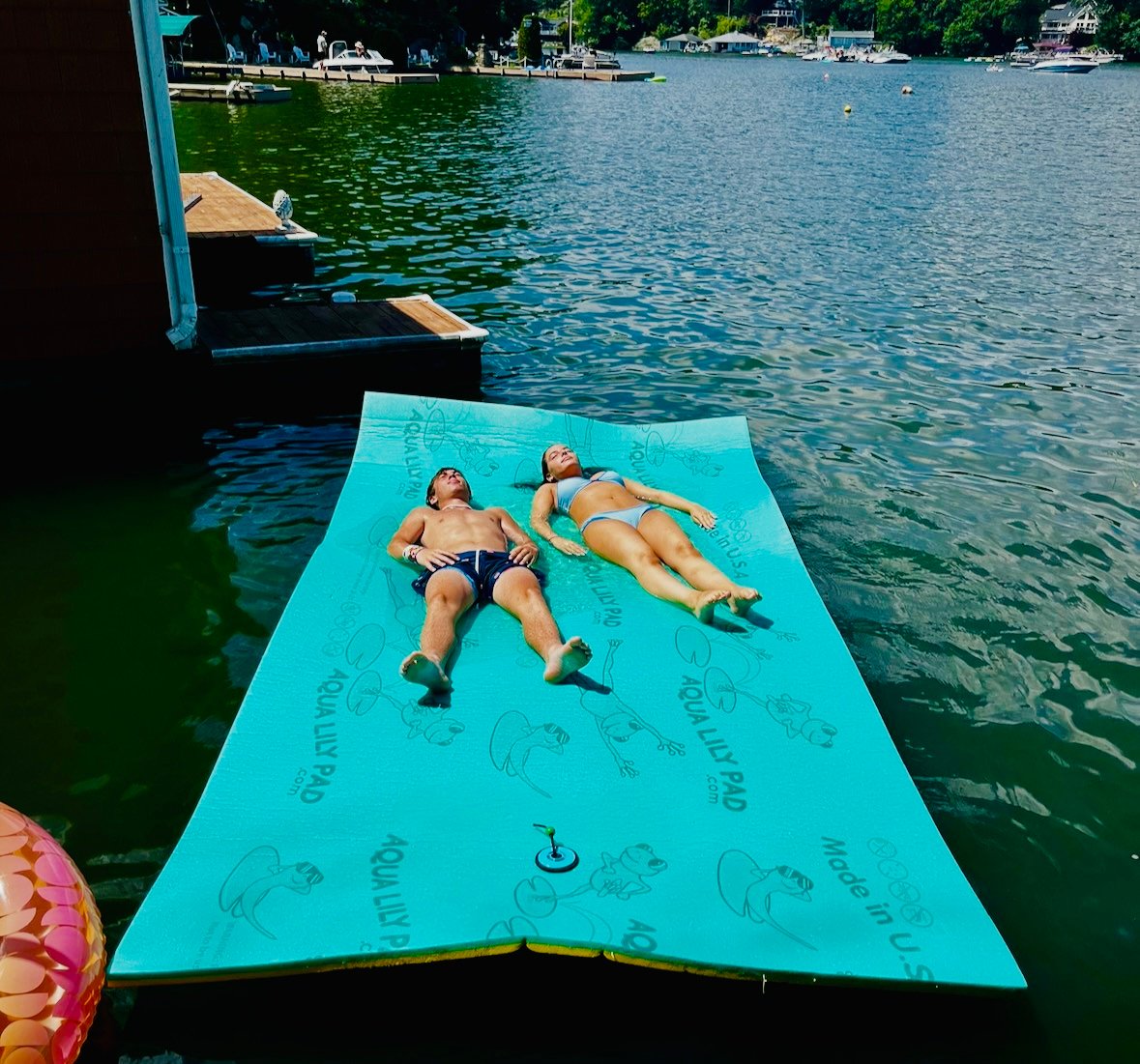 Catching the sun on the lily pad.